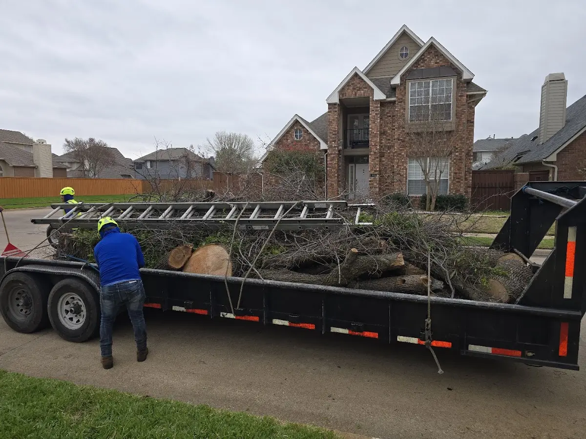 Expert Tree Pest Control with proper safety equipment in Lairdsville